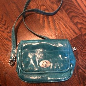 Teal purse